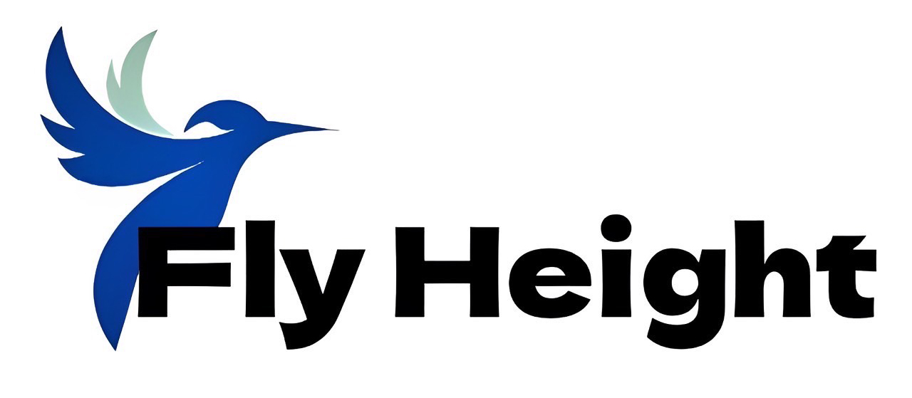 Fly Height